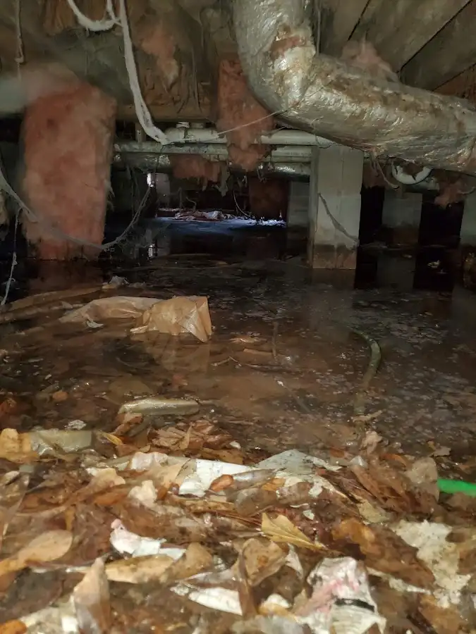 Crawl space flood assessment for Leak Detection & Repair in Burtonsville