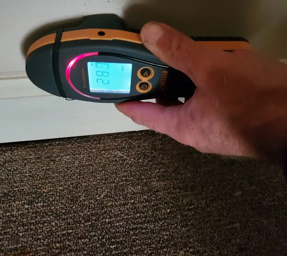 Moisture detection at baseboard during Sewage Cleanup & Sanitation in Burtonsville